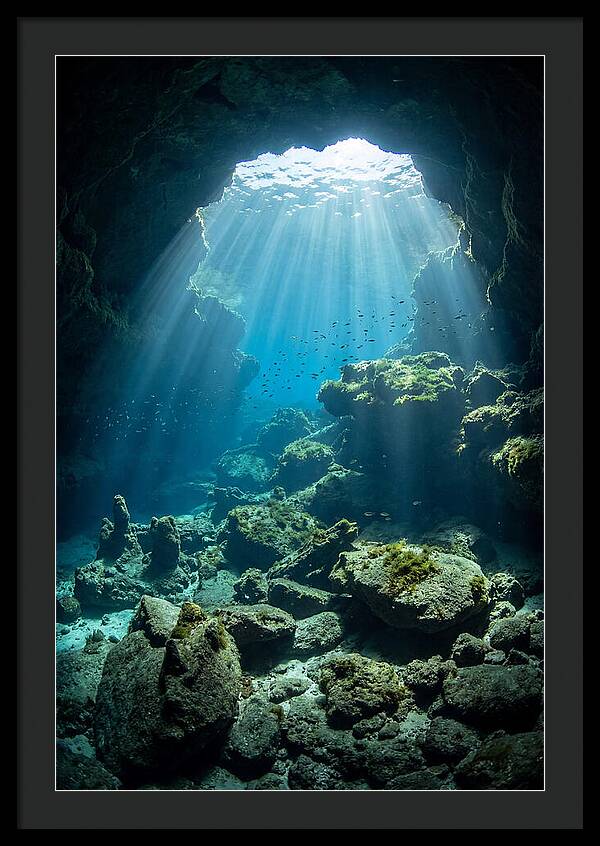 Mystical Underwater Illumination