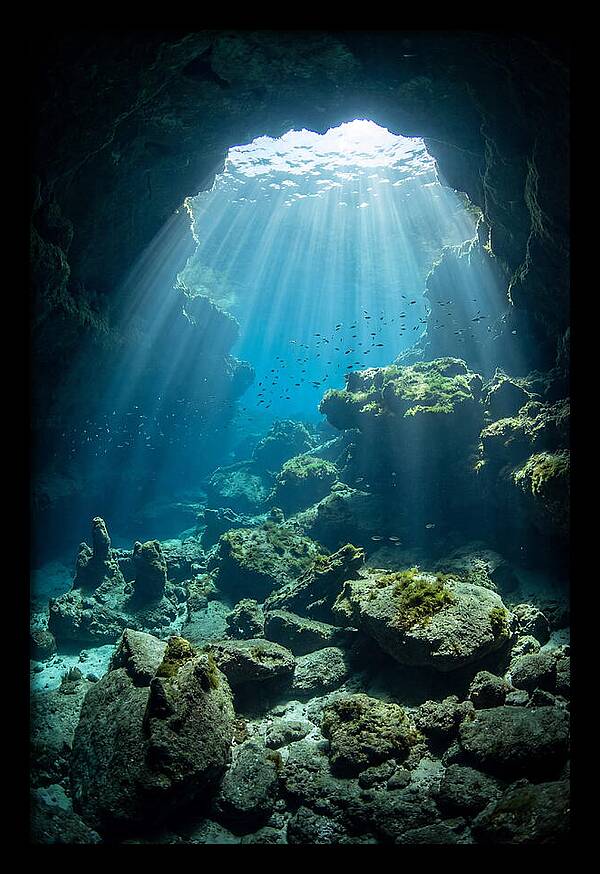 Mystical Underwater Illumination