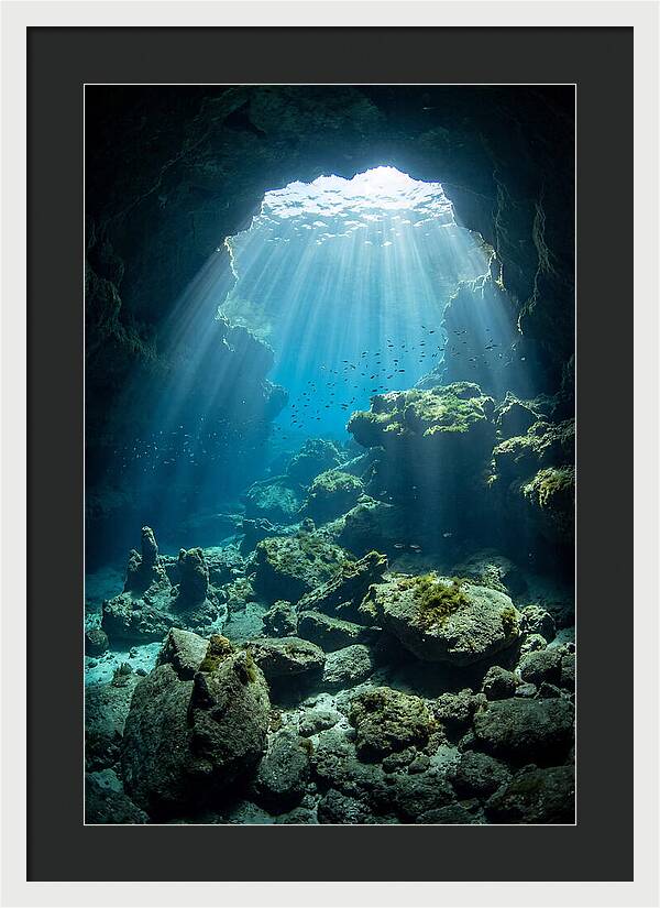 Mystical Underwater Illumination