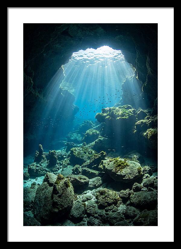 Mystical Underwater Illumination