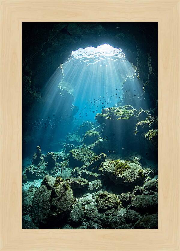 Mystical Underwater Illumination