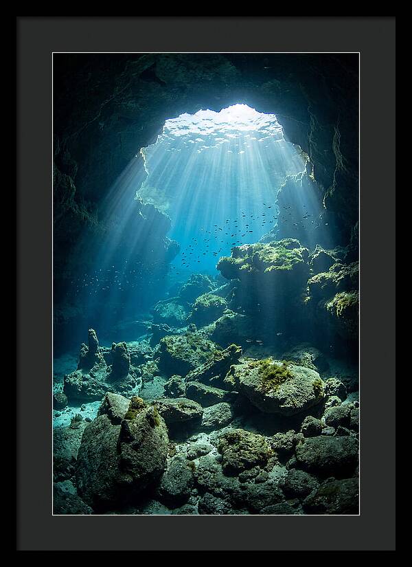 Mystical Underwater Illumination