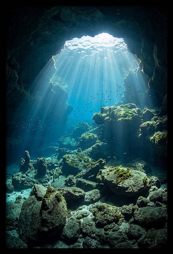 Mystical Underwater Illumination