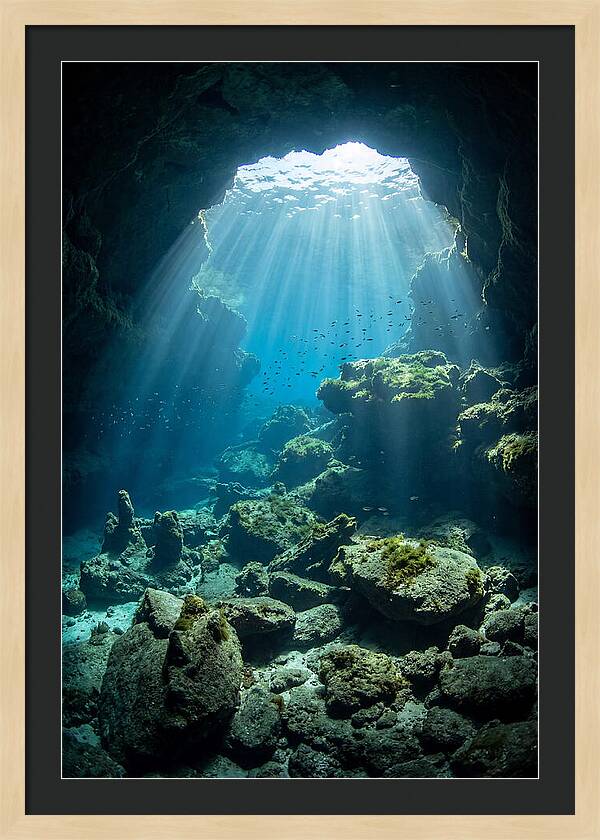 Mystical Underwater Illumination