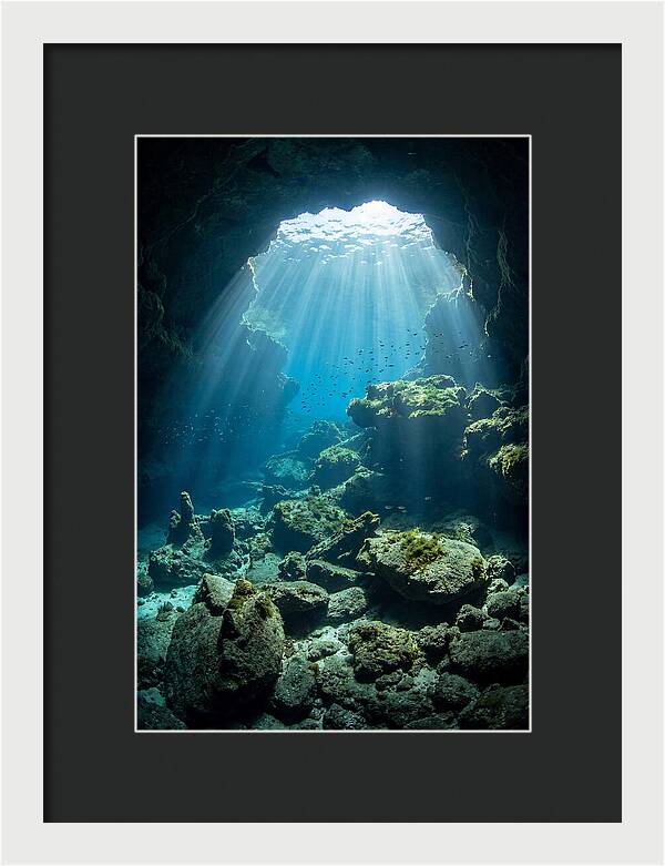 Mystical Underwater Illumination