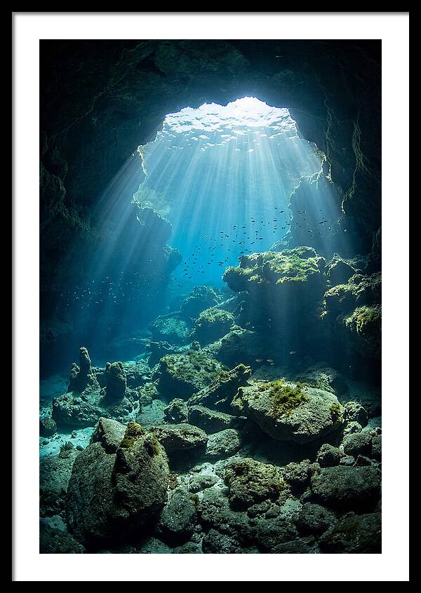 Mystical Underwater Illumination