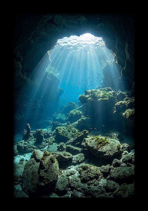 Mystical Underwater Illumination