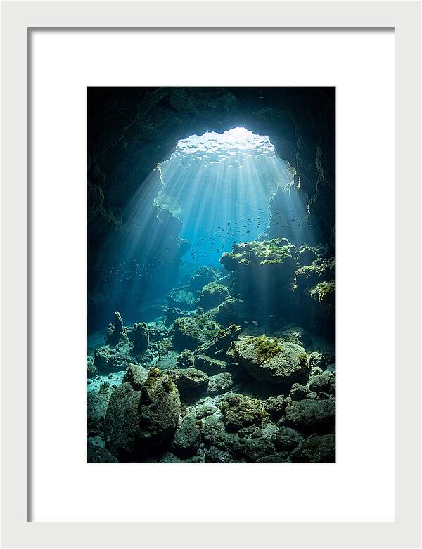 Mystical Underwater Illumination