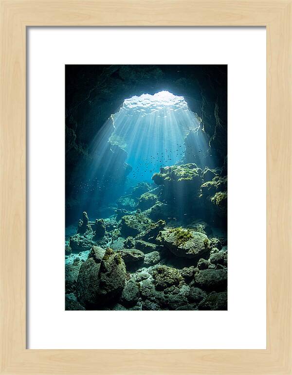 Mystical Underwater Illumination