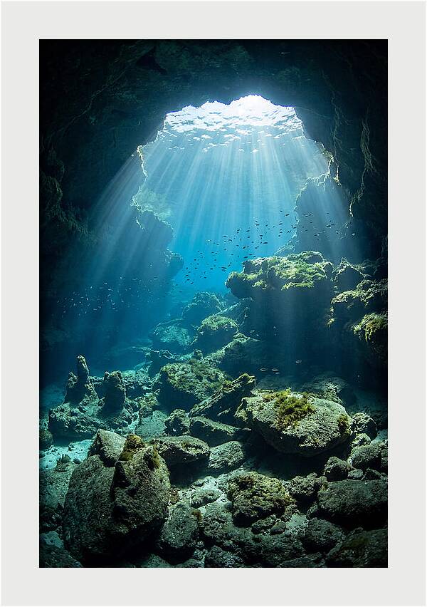 Mystical Underwater Illumination