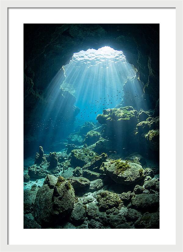 Mystical Underwater Illumination