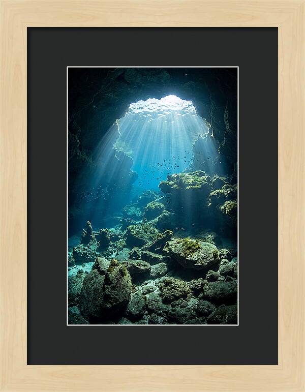 Mystical Underwater Illumination