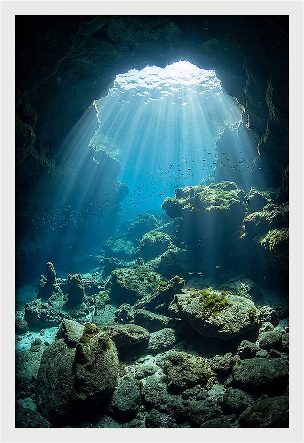 Mystical Underwater Illumination
