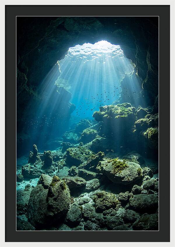 Mystical Underwater Illumination