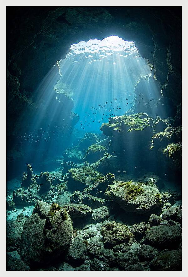 Mystical Underwater Illumination