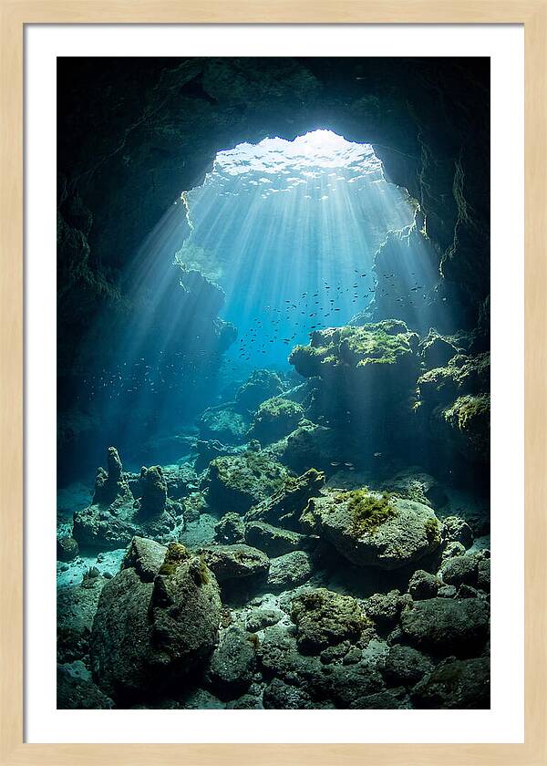 Mystical Underwater Illumination