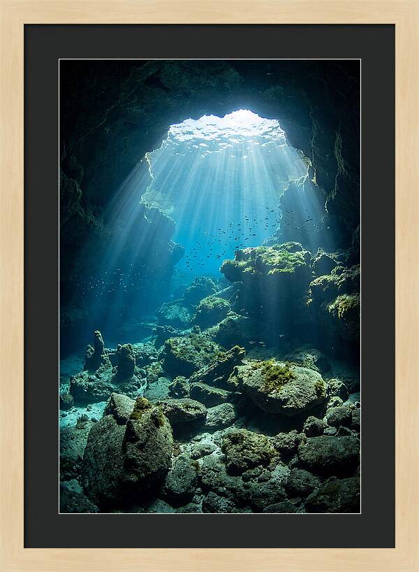 Mystical Underwater Illumination