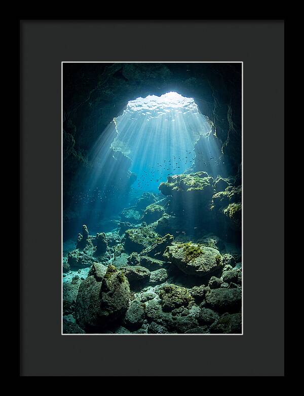 Mystical Underwater Illumination