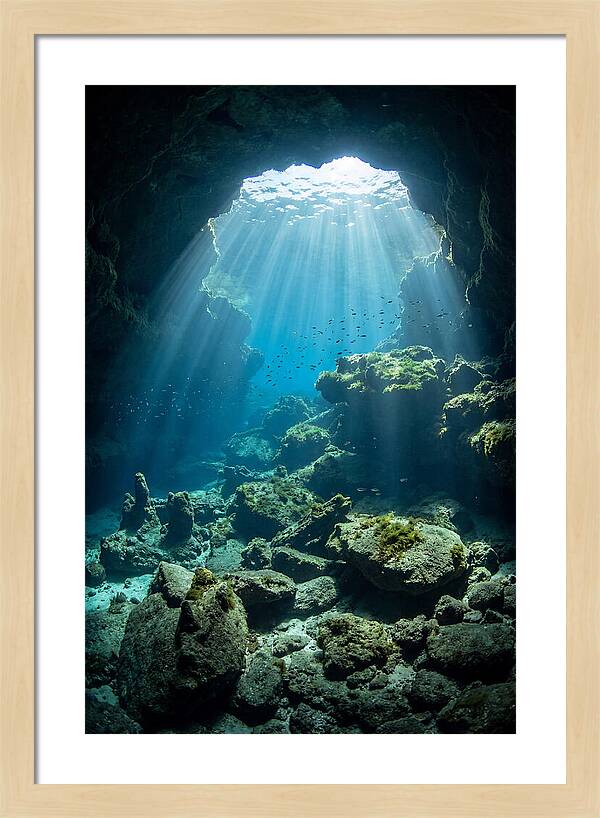 Mystical Underwater Illumination
