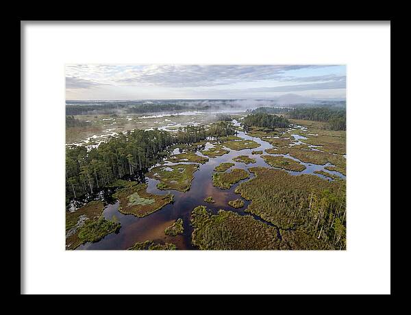 Mystical Waters Of Okefenokee