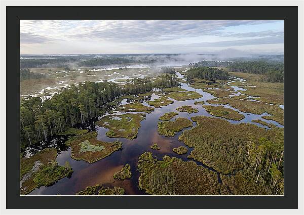 Mystical Waters Of Okefenokee
