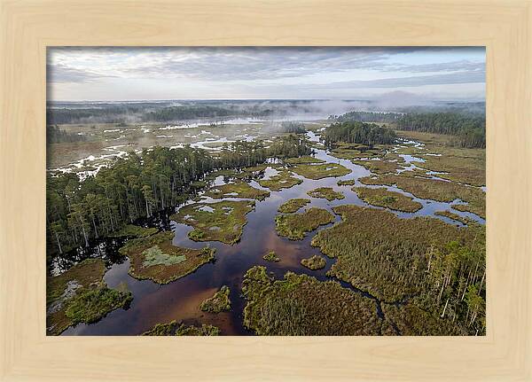 Mystical Waters Of Okefenokee