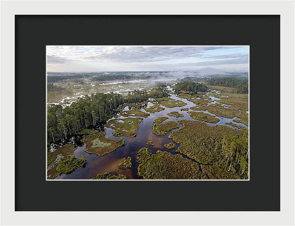 Mystical Waters Of Okefenokee