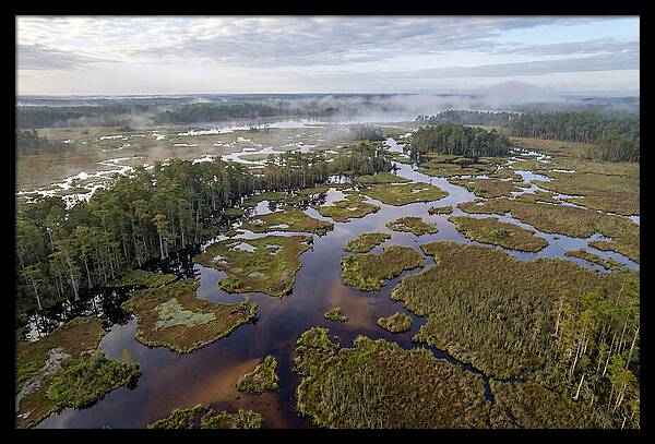 Mystical Waters Of Okefenokee