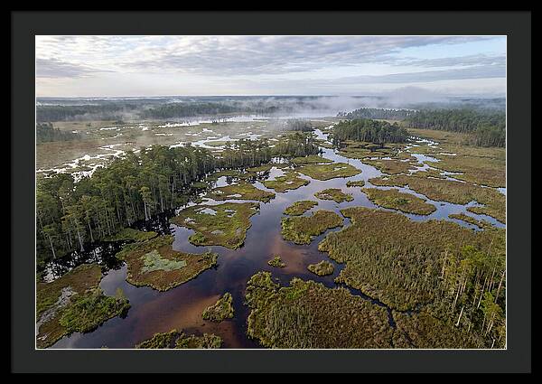 Mystical Waters Of Okefenokee
