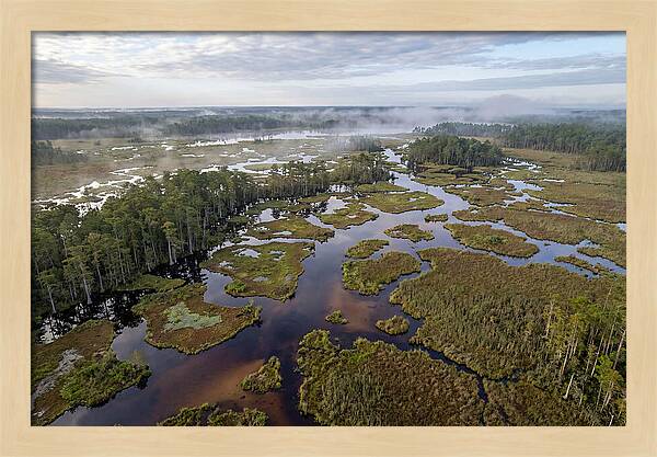 Mystical Waters Of Okefenokee