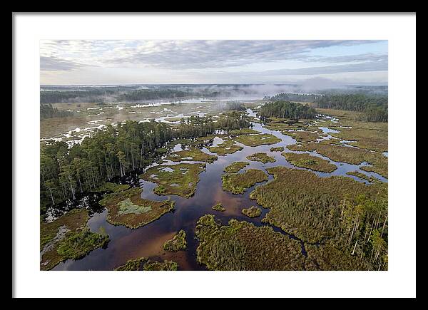 Mystical Waters Of Okefenokee
