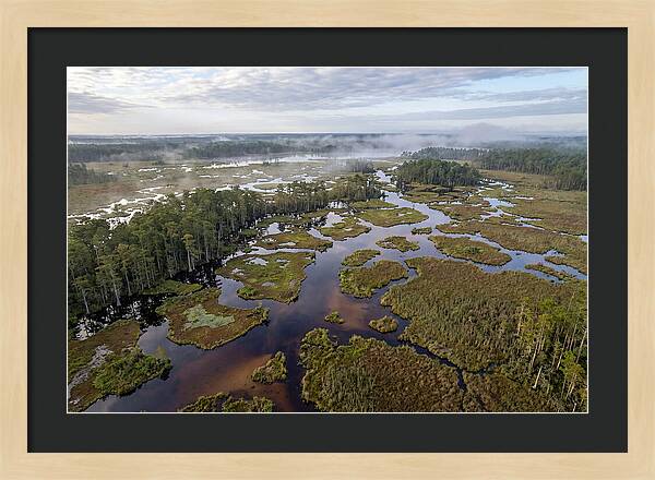 Mystical Waters Of Okefenokee