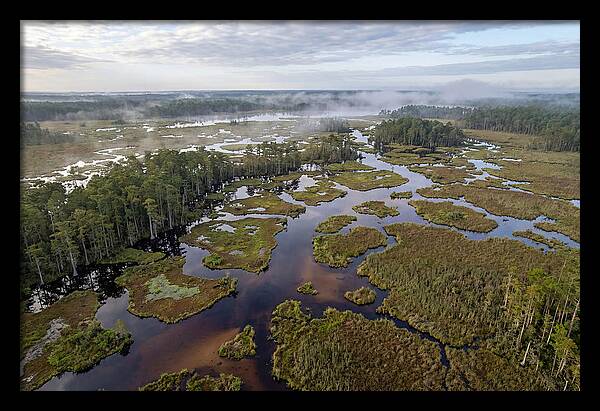 Mystical Waters Of Okefenokee