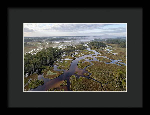 Mystical Waters Of Okefenokee