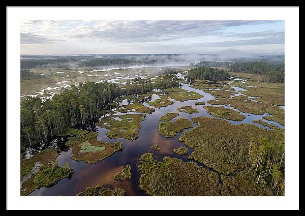Mystical Waters Of Okefenokee