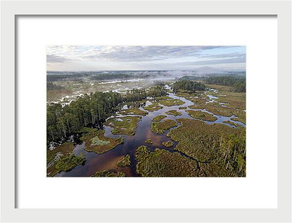 Mystical Waters Of Okefenokee