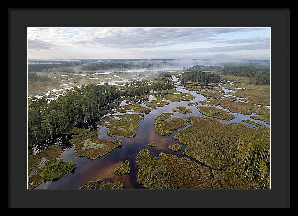 Mystical Waters Of Okefenokee