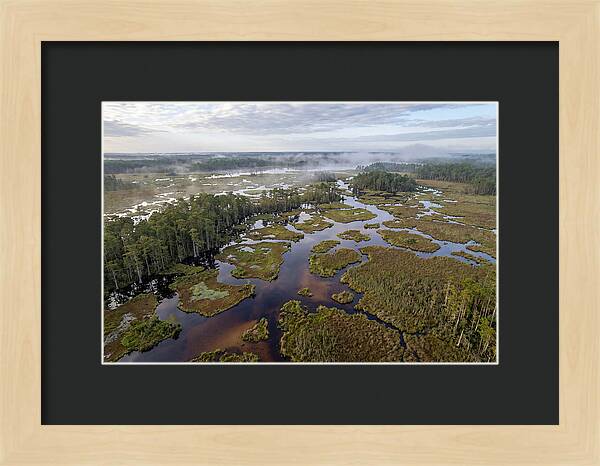 Mystical Waters Of Okefenokee