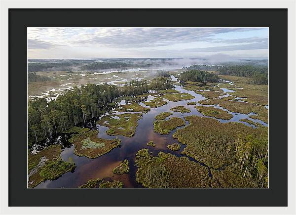 Mystical Waters Of Okefenokee