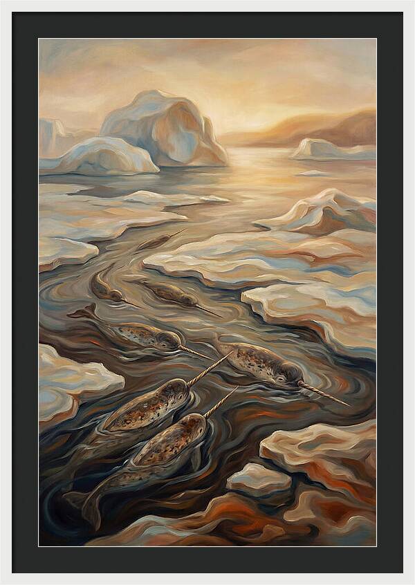 Narwhal Pod In Arctic Waters