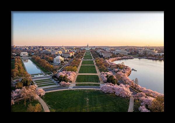 National Mall From Washington Monument