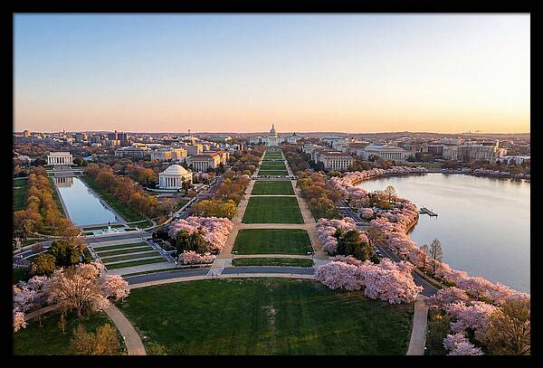 National Mall From Washington Monument
