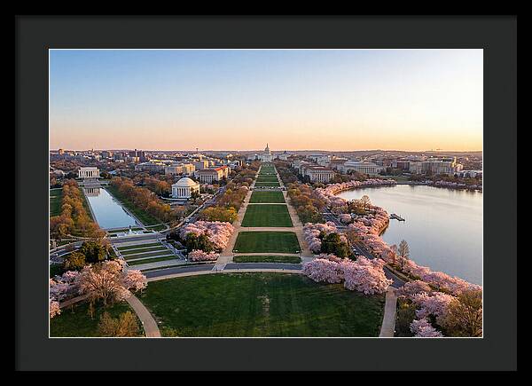 National Mall From Washington Monument