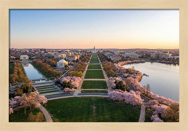National Mall From Washington Monument