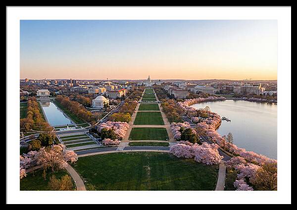 National Mall From Washington Monument