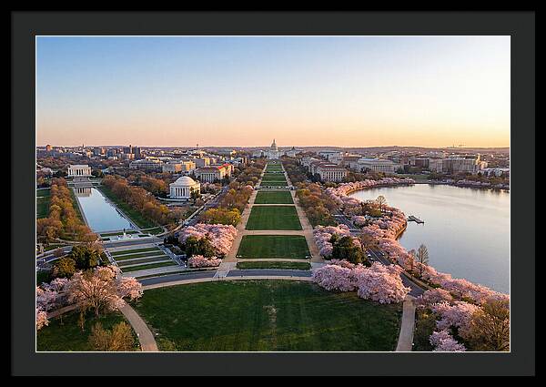 National Mall From Washington Monument