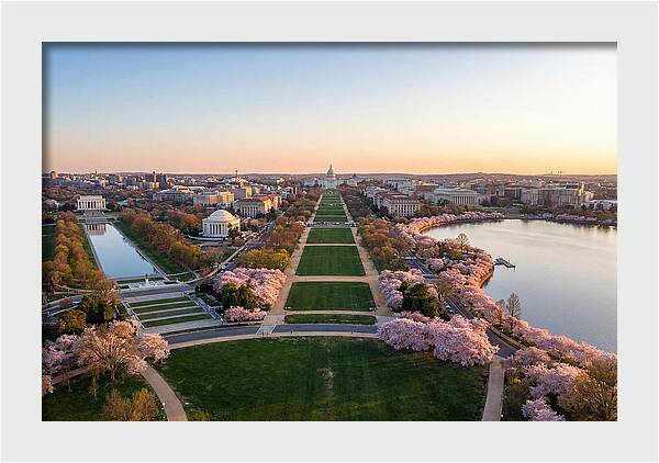 National Mall From Washington Monument