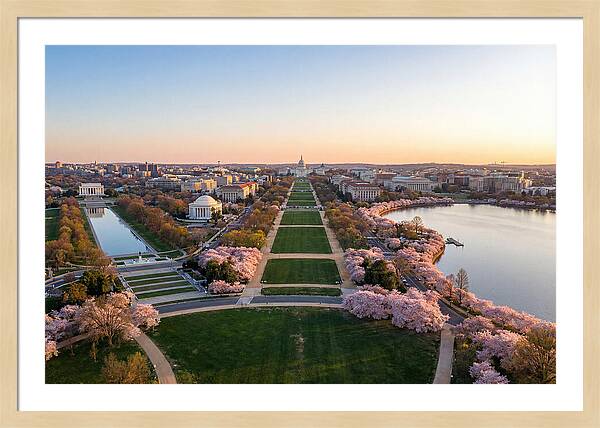 National Mall From Washington Monument