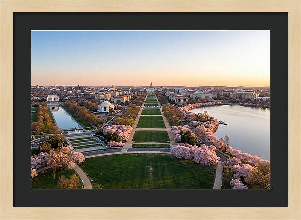 National Mall From Washington Monument