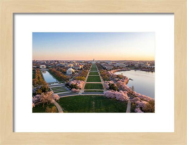 National Mall From Washington Monument